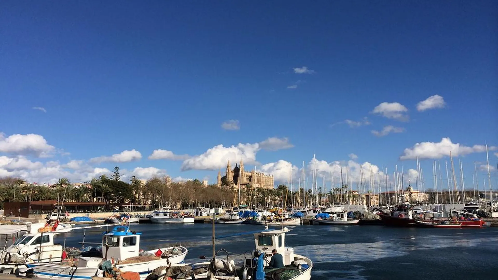 Icon Roseto Hotel Palma de Mallorca